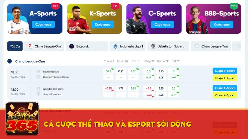 Cá cược thể thao và Esport 