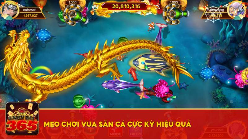 Mẹo chơi Vua Săn Cá 