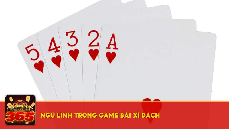 Ngũ Linh là gì