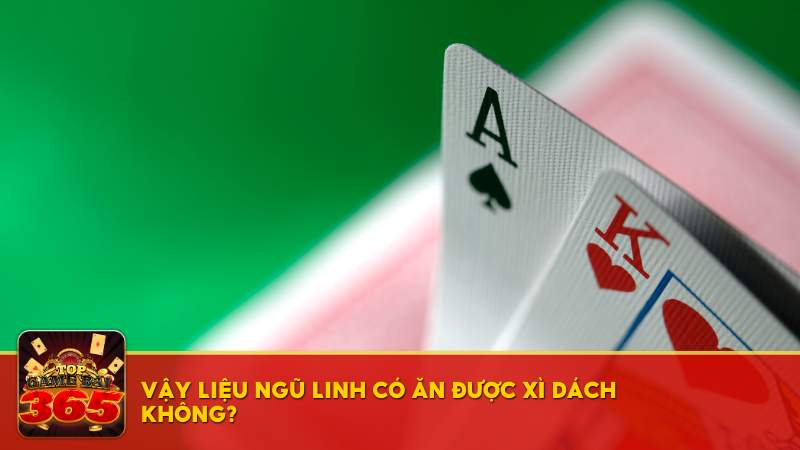 Ngũ Linh có ăn được Xì Dách không?